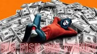 BIG FISH BIG MONEY | sip fisher # 2