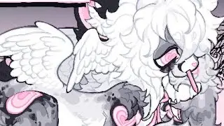 Why’s that? | Timelapse