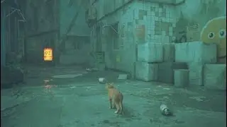 Stray 1