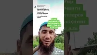 Ibin Sino kitobi haqida tabobat  чувалчанг