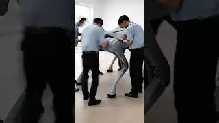 Unitree Go2 на мероприятии: хай-тек вау-эффект, который снимают все 🔥