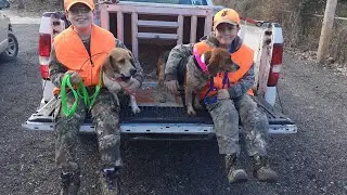 Rabbit hunting in the training pin.