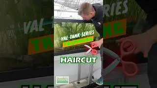 VAL TANK SERIES: Trimming!
