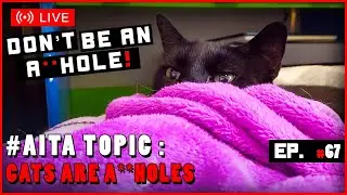 AITA for Not Trusting Cats? - Don't Be an A**hole: Ep. 67
