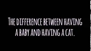 The difference between having a baby and having a cat...