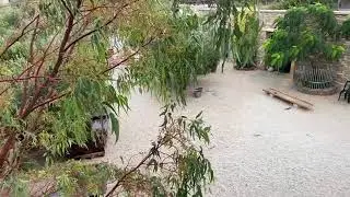 Raining 🌧 - Takis Shelter
