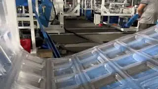 Disposable Transparent Clamshell Box Lunch Box Food Container Production Line