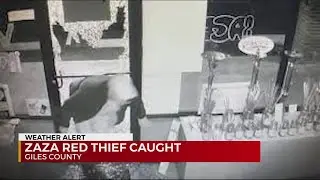 ZaZa Red thief caught in Alabama