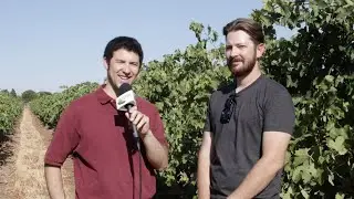 Organic Raisin Grower Shares Methods for Improving Soil Health & Moisture Retention