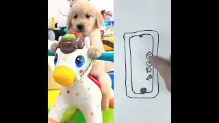 Heartbroken puppy on a toy horse.#dog #puppy #goldenretriever #sad