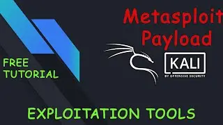 Payloads built into Metasploit: Exploitation Tool in Kali Linux | Ethical Hacking | FREE Tutorial