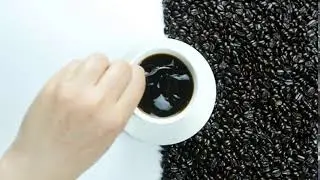 5093  Coffee Logo Reveal personalized this logo reveal animation intro