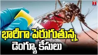 Dengue Cases Viral Fever Rising In Telangana | T News