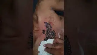 Owl 🦉  tattoo on chest in dehradun @JasTattooStudio 9 5 3 6 3 0 4 0 3 4