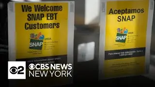 New York, 24 other states suing government over SNAP suspension