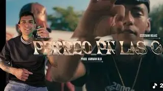 Leandro Santos, Esteban Rojas - PERREO PA LAS G (REACCI&Oacute;N)