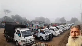 Malangi Transport New Update 