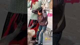 Langur attack 😔🐒 #Viral #Monkey #Shorts #Attack #girls