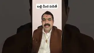 బల్లి మీద పడితే ఏం చేయాలి ??  # chirravuri