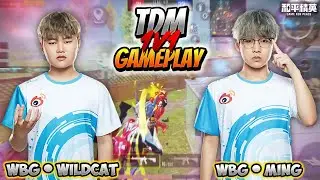 WBG Wildcat Vs WBG Ming TDM 1v1 Gameplay | Best Assaulter 🔥