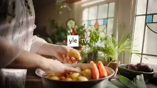 YLE TV2 // ID #③ (2025)