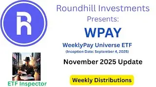 Анализ активов и распределения активов WeeklyPay Universe ETF WPAY от Roundhill на 23.11.25
