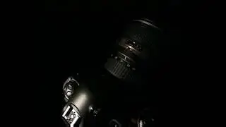Nikon D1