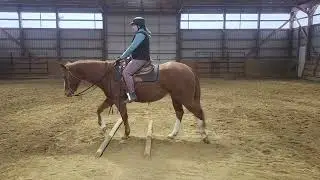 SB Virtual Horse Show Western Video Submission - Dec 2025 - Adult Walk/Jog Ranch Riding