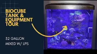 Coralife Biocube 32 Equipment Tour and Modifications   LPS Tank