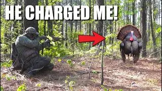 HE CHARGED ME! Opening Day Public Land Turkey Hunt