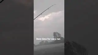 EXTREME CARP FISHING
