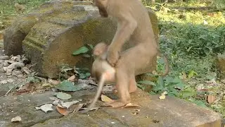 Little Lily god catch from her friend so fast ...Poor Lily no move out well |