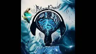 Mr Rearm - Braindance