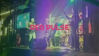 Red Pulse 9