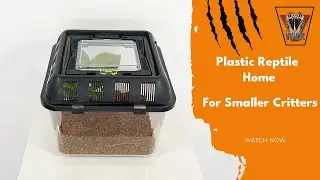 Plastic Reptile Home | VIPER Reptile Products