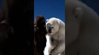 yeti meet bigfoot in his vlog #bigfoot #usa #vlog #yeti #GhostTheDireWolf #fyp