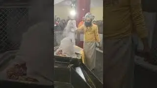 2 जनवरी 2026