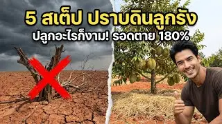 ทำผิดมาตลอด! ✅ปราบดินลูกรัง 'ฉบับวิศวกร' 🛠️ เปลี่ยนดินหิน ให้ปลูกงามทุกต้น!