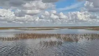 Sawgrass Airboat ride 
