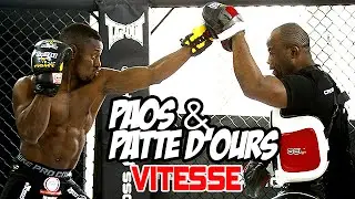 Paos & Pattes d'ours - Entraînement de la vitesse
