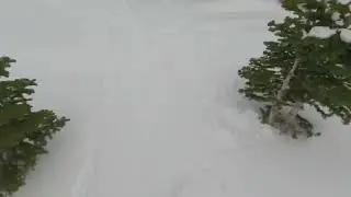 Kirkwood, Cornice express ➡️ Rabbit Runs ➡️ Terror of Trenches 2/16/2024