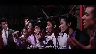 AMOR SIN BARRERAS - AMERICA