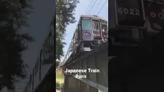 Japanese Train Porn