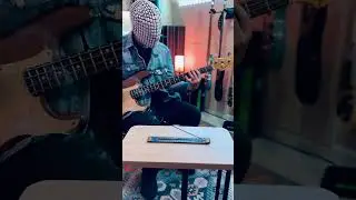 P bass + Labella Super Steps + Ampeg B-15