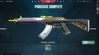 Buying Prime Vandal for 10 dollars (VALORANT NIGHT MARKET)