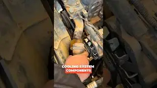 Check the Coolant in the Vehicle #mechanic #engineering