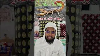 bichhu ke dunk Marne ka ilaaj #trending #islamicshorts #video