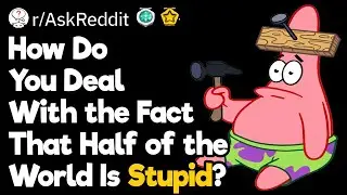 How Do You Deal With the Fact That Half of the World Is Stupid?