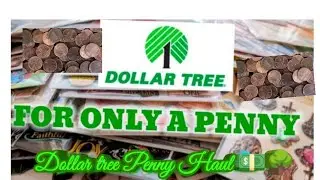 Dollar tree Penny shopping Haul day 14