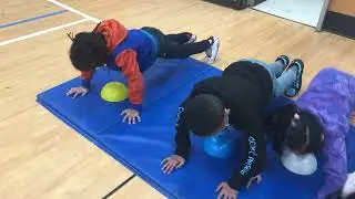 Muscular Strength Fitness Stations